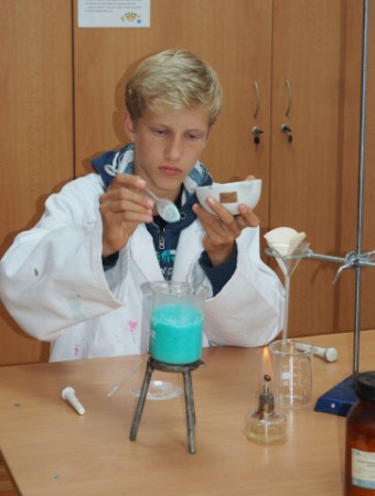 2017P1010009 (14) (Small).JPG